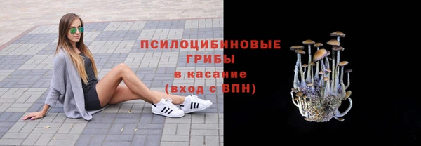 ECSTASY Бугульма