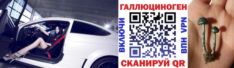 Галлюциногенные грибы прущие грибы как найти закладки гидра ССЫЛКА Таганрог